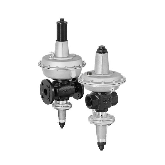DUNGS FRM Medium Pressure Regulator - Burner Pro South Africa